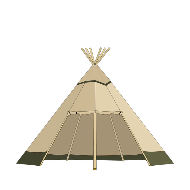 3366_Illustration_Ci20_