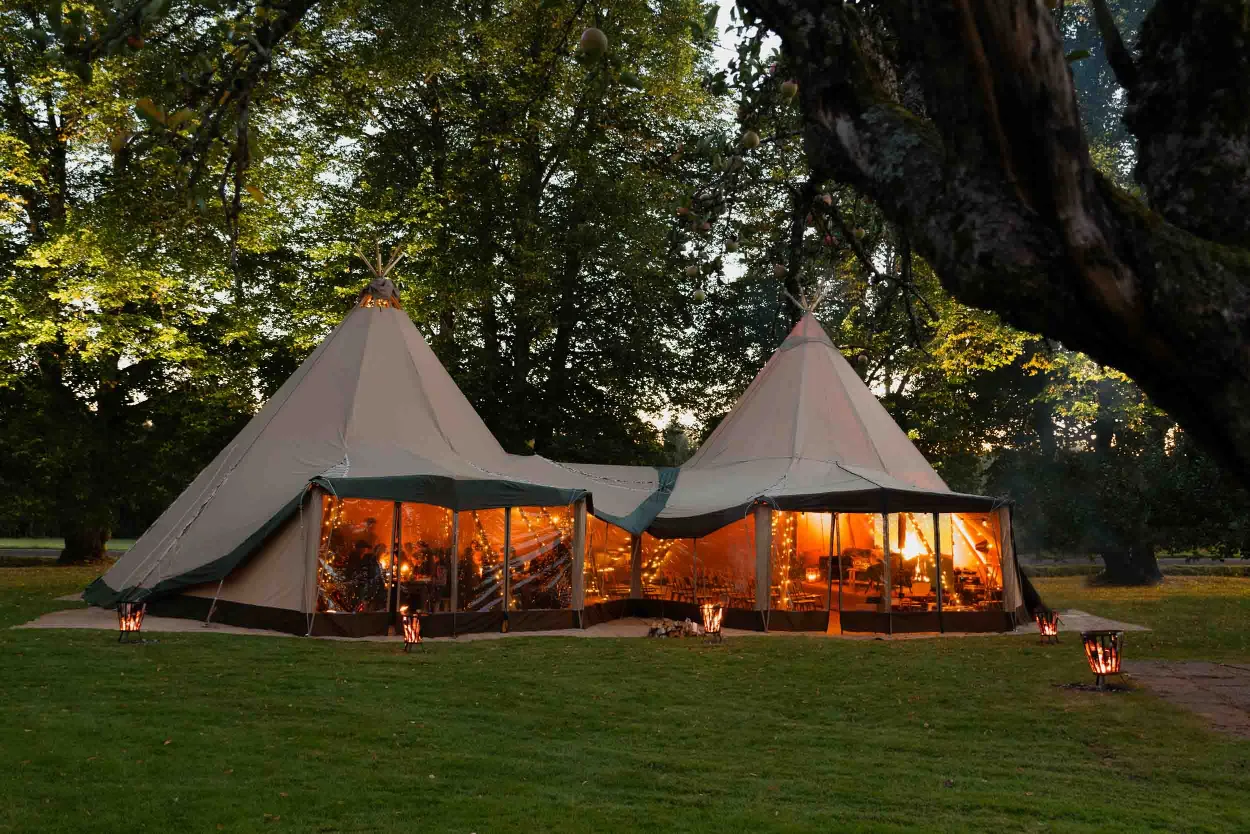 Brugte Stratus Tipier til Salg